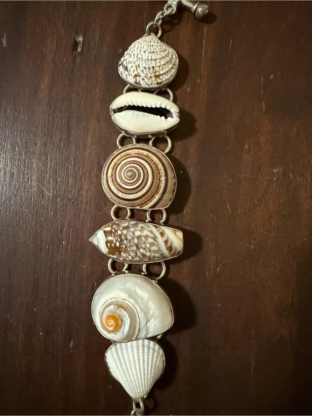 Charles Albert Sterling Silver Seashell Link Bracelet - Picture 2 of 7